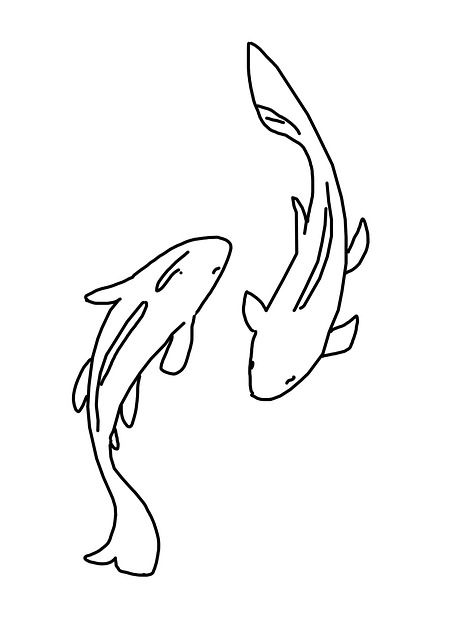 Koi Drawing Simple, Koi Fish Japanese, Fish Japanese, Fish Sketch, Koi Fish Drawing, Fish Drawing, Koi Fish Tattoo, Japanese Drawings, Fish Drawings