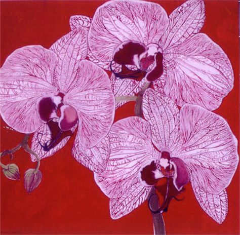 Helen Lucas  Orchid  2005 Pink Wallpaper Print, Helen Lucas Art, Orchid Aesthetic Drawing, Orchid Aesthetic, Red Orchid Aesthetic, Orchid Poster, Orchid Painting Abstract, Abstract Orchid, Orchid Painting