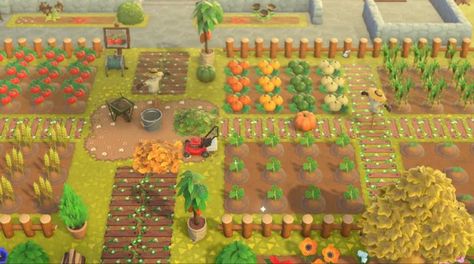 Acnh new update! Animal Crossing Veggie Garden, Animal Crossing Vegetable Garden, Potager Animal Crossing New Horizon, Fauna Yard Guide Acnh, Animal Crossing Fauna Yard, Kawaii Island, Animals Crossing, Cottagecore Animal Crossing, Farm Games