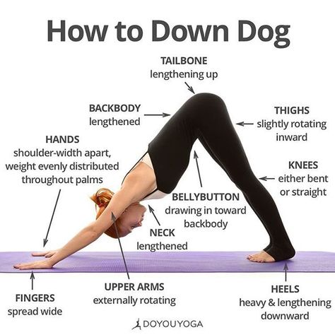 Adding more motion in your life adds more stimulation to the brain and body! Down dog is a great pose that can be strengthening rest and stretching.  Benefits of Down Dog from doyouyoga 1. Opens the Backs of the Legs 2. Elongates the Spine 3. Brings Awareness to Your Breathing 4. Strengthens and Opens the Chest 5. Strengthens the Arms #movemore #movementislife #spine #body #brainbody #balancedfamilychiropractic #sanfrancisco #chiropractor #healthylifestyle #health #yoga #pose #asana #stretch #st Beginner Pilates, Pilates Video, Yoga Beginners, Sup Yoga, Dog Yoga, Yoga Iyengar, Yoga Help, Outfit Yoga, Vie Motivation