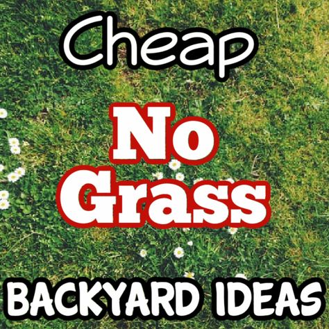 Outdoor Rug On Grass Yards, No Grass Backyard Ideas, Low Maintenance Backyard Landscaping, Grass Backyard Ideas, No Grass Yard, Vegetable And Herb Garden, Grass Backyard, Artificial Grass Backyard, Turf Backyard