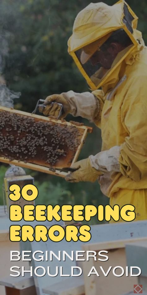 Beekeeping errors can be costly—avoid these 30 mistakes beginners often make. This guide is essential for anyone starting out in natural beekeeping or honey bee farming. Save this pin for later and click to learn how to avoid common pitfalls and ensure a thriving hive! Natural Beekeeping, Honey Bee Farming, Backyard Beehive, Bee Farming, Harvesting Honey, Frame Placement, Useful Life Hacks, Bee Keeping, Honey Bee