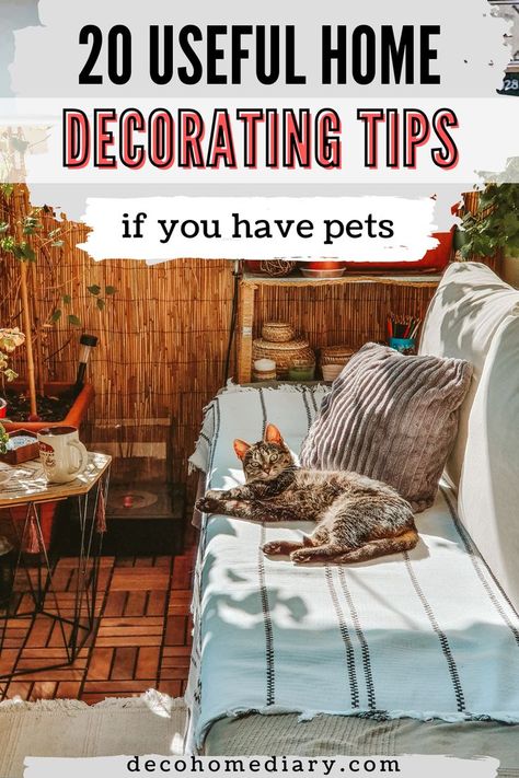 home with pets decor Pets Room, Cats Room, Pet Room Decor, Cat Room Decor, Designing A Home, Cats Home, Cats House, Pet Friendly House, Cats Pet