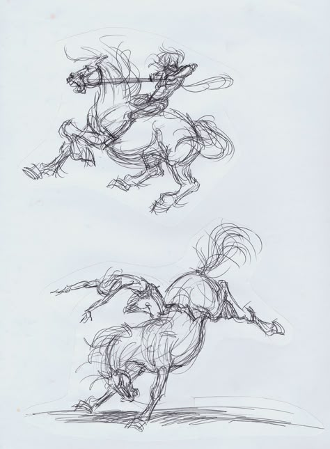 Horses Anatomy, Ride Drawing, Horse Illustration, Disney Concept Art, Art Exhibit, Horse Drawings, Gesture Drawing, Animation Art Character Design, Animal Sketches