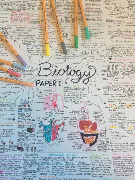 Mind maps galore 💕💕 Revision Mind Maps, Biology Mind Map Ideas, Science Mind Map, Biology Mind Map, Form Aesthetic, Gcse Notes, Studying Ideas, Gcse Science Revision, Science Revision