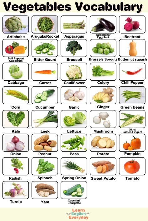 In this video, you'll learn the names of 38 Vegetables Vocabulary in English. if you like my video please Subscribe to my channel and click the bell icon to get new video updates. #vegetables #vegetablesvocabulary #vocabulary #englishconversation #learnenglish #english Vegetable Vocabulary English, Pictures Of Vegetables, Vegetables In English, Kitchen Vocabulary, Health Fruits, Name Of Vegetables, Vocabulary In English, Learning Grammar, Different Types Of Vegetables