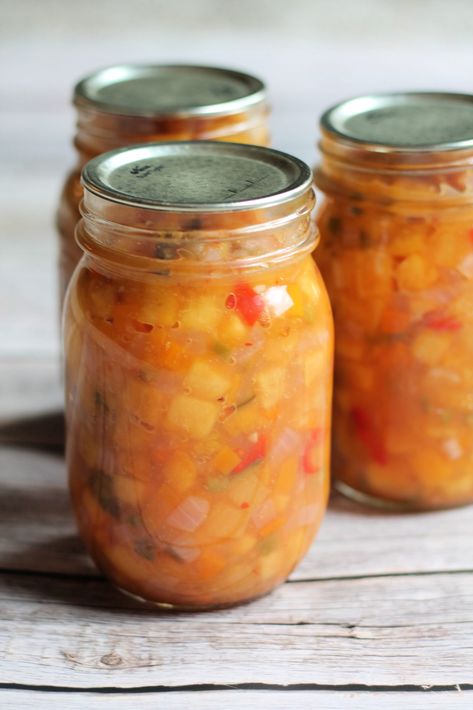 Canned Peach Salsa via @nelsonroadgarden Southern Veggies, Peach Salsa Recipe, Salsa Canning Recipes, Peach Salsa Recipes, Best Sauce Recipe, Water Bath Canning Recipes, Best Appetizer, Canning Peaches, Canning Salsa