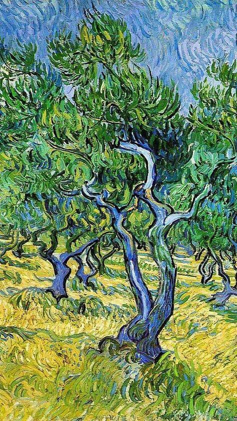 Theo Van Gogh, Van Gogh Wallpaper, Van Gogh Landscapes, Artist Van Gogh, Vincent Willem Van Gogh, Van Gogh Irises, Vincent Van Gogh Art, Vincent Van Gogh Paintings, Olive Grove