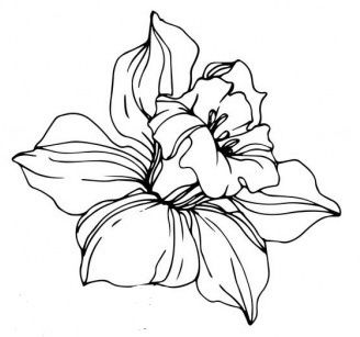 March Birthstone Tattoo, March Birth Flower Drawing, March Flowers Tattoo, Daffodil Tattoo Stencil, March Birth Flower Tattoo With Name, March Birthday Tattoo, Daffodil Drawing Tattoo Ideas, March Tattoo Ideas Birth Month, Daphodil Tattoo