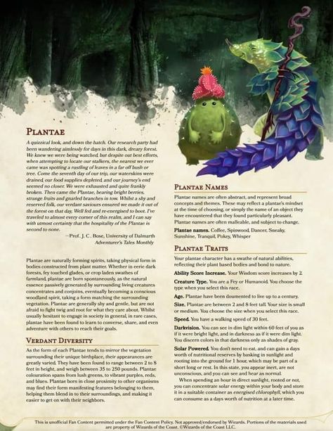 Homebrew Races, Dungeons And Dragons Races, Dnd Druid, D D Classes, Dungeon Master's Guide, Dnd Races, Dnd Classes, Dungeons And Dragons Classes, Dnd 5e Homebrew