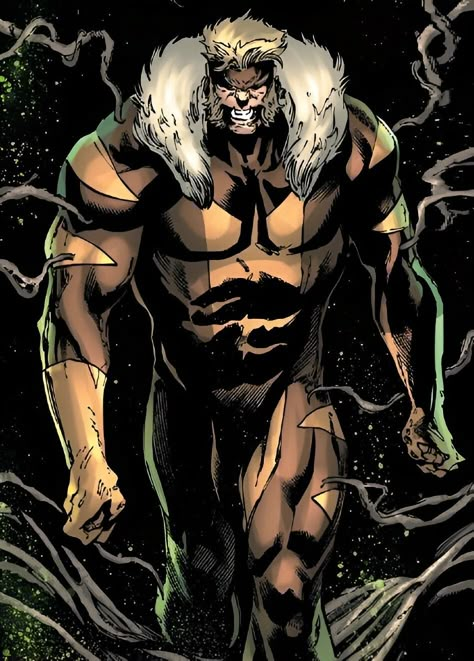 Sabretooth (Victor Creed) -  X MEN Sabretooth Marvel, Victor Creed, Aang The Last Airbender, Marvel Phases, Logan Wolverine, Marvel Villains, Beast Boy, Dragon Rider, Black Lightning