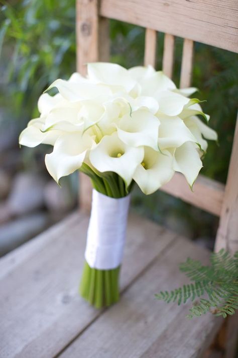 white calla lily wedding bouquet via Erica Velasco Photographers / http://www.himisspuff.com/spring-summer-wedding-bouquets/ White Calla Lily Wedding Bouquet, Calla Lily Bouquet Wedding, Calla Lily Wedding, Calla Lily Bouquet, Bride's Bouquet, Summer Wedding Bouquets, Lily Wedding, Lily Bouquet, All White Wedding