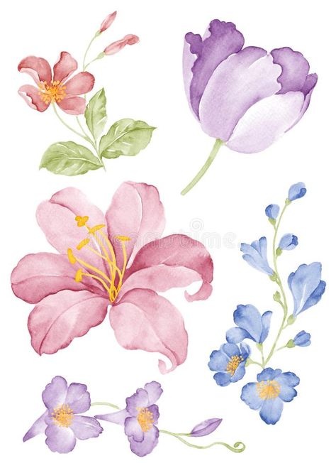 Watercolor Flower Vector, Simple White Background, Flower Vector Illustration, Cute Flower Drawing, Illustration Flower, Flower Drawing Tutorials, Watercolor Flowers Tutorial, Flower Vector, Folk Art Flowers