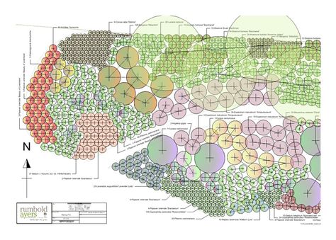 Fall Landscaping, Garden Planning Layout, Landscaping Around Trees, English Garden Design, Small Yard Landscaping, Landscape Design Drawings, Planting Design, Courtyard Gardens Design, Planting Plan