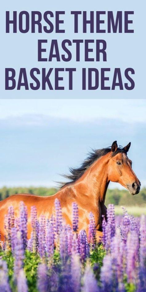 Are you looking for horse theme Easter basket ideas? If you have someone that loves horses, giving them some fun gifts about horses is great! Horse Gift Basket, Young Adult Easter Basket Ideas, Teenager Easter Basket, Easter Basket Themes, Goodie Basket, Adult Easter Baskets, Girls Easter Basket, Adult Easter, Kids Gift Baskets