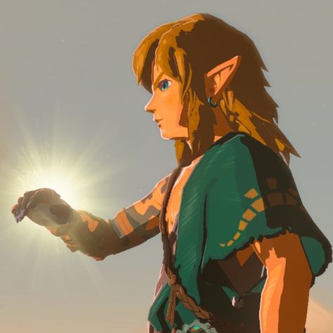 Link Reference Totk, Legend Of Zelda Tears Of The Kingdom Link, Link Arm Tears Of The Kingdom, Link Tears Of The Kingdom Arm, Legend Of Zelda Link Haircut, Tears Of The Kingdom Screenshots, Link Pfp Tears Of The Kingdom, Link Side Profile, Link Hairstyle Zelda