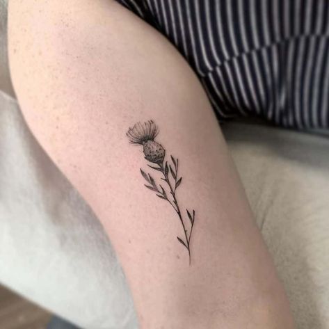 Top 65 Best Thistle Tattoo Ideas - [2021 Inspiration Guide] Thistle Tattoo Black, Pentacle Tattoo, Thistle Flower Tattoo, Scotland Tattoo, Scottish Thistle Tattoo, Scottish Tattoo, Scottish Tattoos, Thistle Tattoo, Cream Tattoo