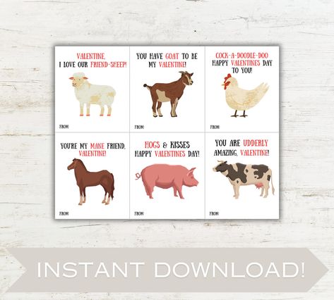 Animal Valentines, School Farm, Class Valentines, Valentines Day Cards, Valentines School, Farm Animal, Valentine Day Cards, Cardstock Paper, Valentines Cards