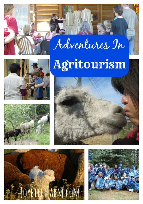 Agritourism Farms, Farm Tourism, Farm Diy, Small Farms, Farm Plans, Farm Business, Farm Store, Farm Tour, Farm Stand