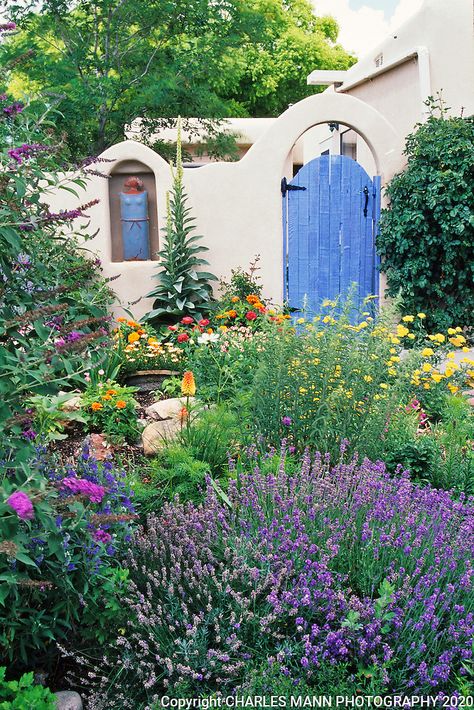 Cottage Patio, Water Wise Landscaping, Drought Tolerant Garden, Drought Tolerant Landscape, Cottage Garden Design, Santa Fe Style, Garden Entrance, Cottage Gardens, Casa Exterior