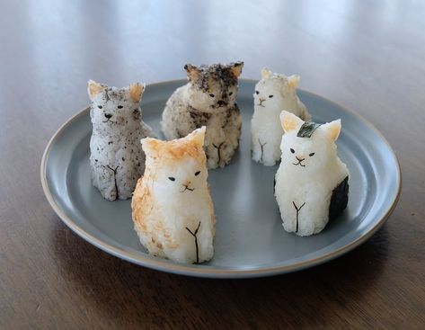 Rice Cats, Kawaii Food Recipe, Cute Animal Food, Cute Recipes, Cute Cooking, Cat Figurines, Bento Recipes, Think Food, Kawaii Food