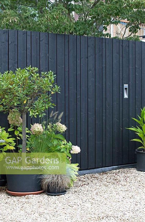 View of modern, custom-made black fence. Black Timber Front Fence, Black Fences In Garden, Navy Blue Garden Fence, Black Cedar Fence, Black Fencing Ideas, Black Garden Fence Ideas, Black Fence Garden, Modern Black Fence, Black Fence Backyard