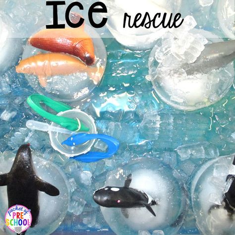 Arctic ice themed experiments and activities for preschool, pre-k, and kindergarten. Perfect for a winter, penguin, or polar bear theme. Polar Animals Preschool, Arctic Animals Activities, Arctic Animals Preschool, Polar Bear Theme, Animals Preschool, Animal Lessons, Snow Animals, Arctic Ice, Polar Animals