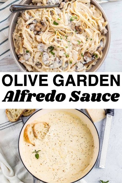 Italian White Sauce, Alfredo Sauce Olive Garden, Beetlejuice Dinner Party, Beetlejuice Dinner, Easy Alfredo Recipe, Best Alfredo Sauce Recipe, Easy Homemade Alfredo, Homemade Alfredo Sauce Recipe, Olive Garden Alfredo Sauce Recipe