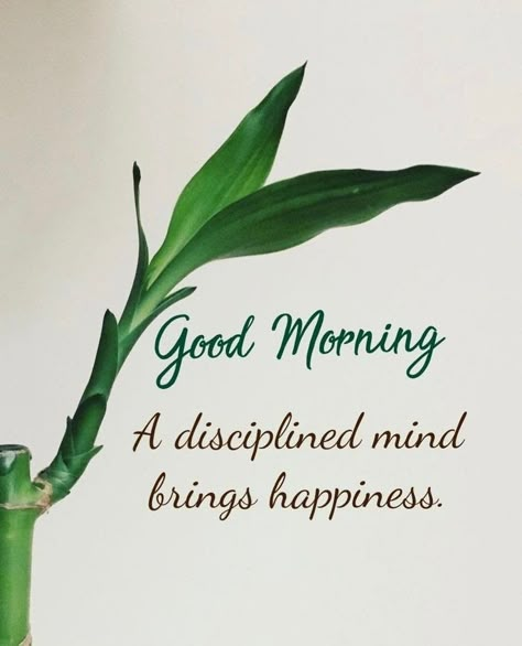 Morning Nature Quotes, Good Morning Nature Quotes, Handsome Quotes, Good Morning Handsome Quotes, Very Good Morning Images, Blessed Morning Quotes, Nice Good Morning Images, Good Morning Massage, Morning Handsome