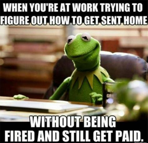 Funny-Work-Memes-Yourdayatwork Funny Kermit Memes, Kermit Memes, Workplace Memes, Kermit Funny, Job Humor, Workplace Humor, Work Quotes Funny, Funny Work, Work Jokes