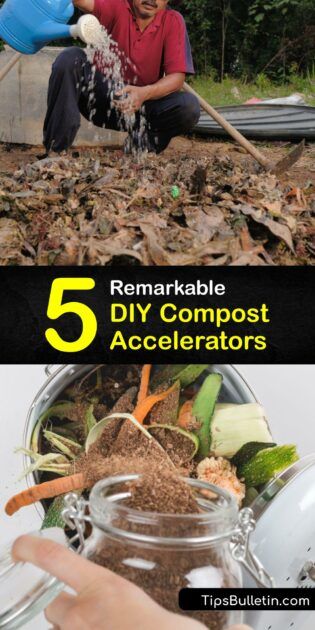 Making Your Own Compost Accelerator - Smart Compost Boosters Compost Starter How To Make, Underground Compost Bin, Compost Bins Diy, Compost Pile Diy, Vermicomposting Diy, Diy Compost Bin Outdoor Easy, How To Compost For Beginners, Diy Compost Bin Outdoor, Compost Recipe