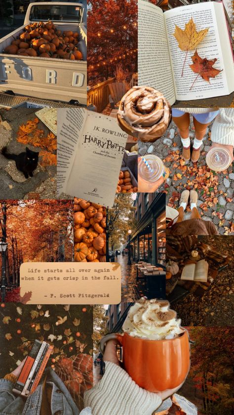 Fall Backrounds, Athstetic Wallpaper, Aesthetic November, Boston Aesthetic, Fall Szn, England Photos, Background Fall, Iphone Wallpaper Winter, Cosy Autumn