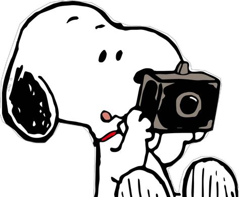 Snoopy With A Camera Peanuts Movie, Scrapbook Printing, Snoopy Wallpaper, Camera Icon, Snoopy And Woodstock, Laptop Wallpaper, Phone Themes, Disney Drawings, Anime Artwork