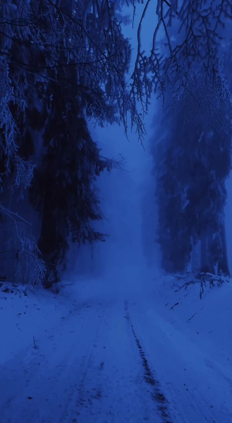 Blue Wonderland Aesthetic, Blue Winter Wallpaper Iphone, Blue Hour Forest, Dark Blue Winter Aesthetic, Dark Ambient Wallpaper, Snow Dark Aesthetic, Dark Scenery Aesthetic, Phone Themes Blue, Blue Snow Aesthetic