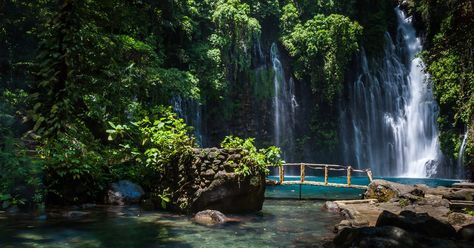 Because taking the advice of early '90s musicians is a terrible idea, go ahead and chase that waterfall... Tinago Falls, Falls Philippines, Iligan City, Sand Background, Grand Canyon Camping, Camping In Maine, Background Beach, Yellowstone Camping, Waterfall Pictures