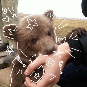 #therian #therianthropy #theriotype #brownbear #pfp #fyp Therian Profile Picture, Bear Therian Mask, Bear Pfp Cute, Grizzly Bear Aesthetic, Cute Bear Pfp, Neutral Pfp, Bear Therian, Brown Pfp, Bear Pfp