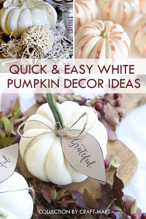 Pumpkin Decor Ideas, White Pumpkin Centerpieces, Pumpkin Tablescape, White Pumpkin Decor, Decor Photography, Pumpkin Thanksgiving, Thanksgiving Diy, Fall Decor Ideas, Pumpkin Fall Decor