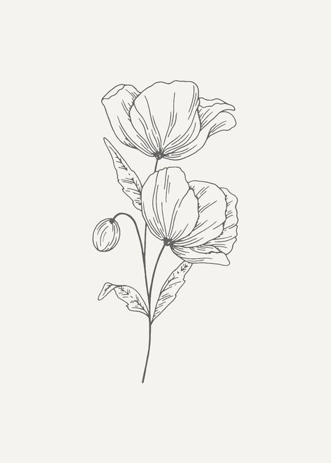 Flower Linework Tattoo, Poppy Sketch, Poppy Flower Sketch, Poppy Line Drawing, Botanical Line Art, Poppy Line Art, Poppy Flower Line Drawing, Poppy Fine Line Drawing, California Poppy Tattoo Black And White