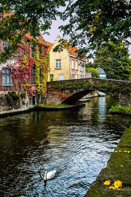 Europe Aesthetic, Bruges Belgium, Belgium Travel, Future Travel, Pretty Places, Travel Aesthetic, Dream Vacations, Travel Dreams, Europe Travel