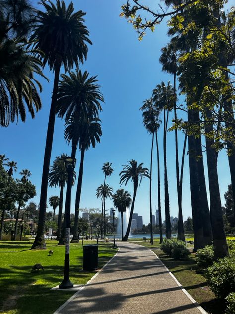 Los angeles, california, cali, socal, la, silverlake, palm trees, park, walk, i love california Silverlake Aesthetic, Silverlake Los Angeles, Echo Park Los Angeles, Park Walk, Los Angeles Parks, I Love La, Echo Park, Silver Lake, East Side