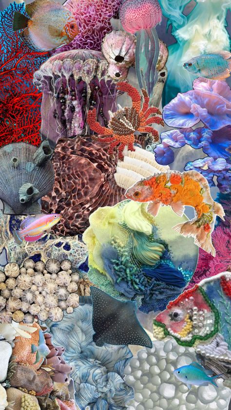 Coral Reef Mood Board, Under The Sea Aesthetic, Fashion Wear, Sea Life, Under The Sea, Mood Boards, The Sea, Mood Board, Textiles