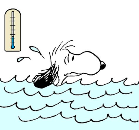 Snoopy Giving Cold Water Swimming a Try Snoopy Swimming, Cold Water Swimming, Snoopy Stuff, Rudy Pankow, Water Swimming, Snoopy Wallpaper, Snoopy Pictures, Peanuts Gang, Peanuts Snoopy