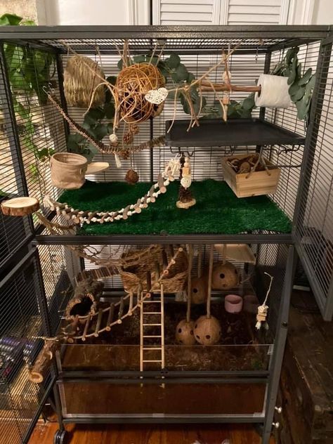 Rat Cage Decor, Critter Nation Rat Cage Ideas, Rat Food Recipe, Bioactive Rat Cage, Aesthetic Rat Cage, Critter Nation Cage Ideas, Pet Rat Cages Ideas, Rat Setup, Diy Rat Cage Accessories