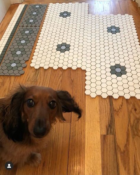 Historical Tile Patterns, Kitchen With Hexagon Tile Floor, Dark Mosaic Tile Bathroom, Vintage Farmhouse Flooring, Custom Penny Tile Design, 1920s Kitchen Tile, Historic Tile Floor, Penny Tile Mosaic Pattern, Victorian Bathroom Flooring