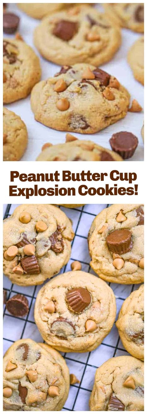 Dive into the mouth-watering world of easy, large, homemade peanut butter cookies! This simple recipe delivers chewy, stuffed cookies with a surprise inside - a peanut butter cup explosion. From the first bite, you’ll taste the blend of sweet and salty flavors, perfectly balanced for your delight. Big enough to satisfy your cravings and easy enough for any home baker to master. This is more than just a recipe; it's a delightful baking journey! Large Peanut Butter Cookies, Mini Peanut Butter Cups, Large Cookies, Cookie Recipes For Kids, Reese's Peanut Butter Cup, Peanut Butter Cup Cookies, Chewy Peanut Butter Cookies, Butter Cookies Recipe, Homemade Cake