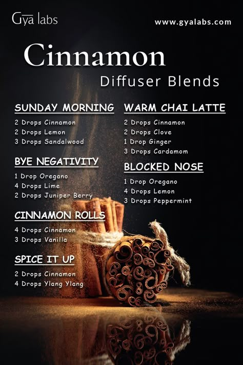 A bottle of Cinnamon essential oil blend surrounded by cinnamon sticks and a diffuser, with the text "Cinnamon Essential Oil Blend for Warmth and Invigorating Aromatherapy" written in a stylish font. Oil For Lips, Essential Oil Combos, Essential Oil For Skin, Essential Oil Spray Recipes, Essential Oil Perfumes Recipes, Cinnamon Bark Essential Oil, Body Candle, Essential Oil Combinations, Fragrance Oil Blends