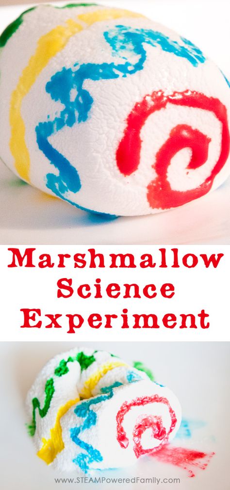 This simple marshmallow science experiment is an engaging STEAM activity for elementary. Learn a little science and a little art, then eat the results! Marshmallow Stem Activities, Marshmallow Science Experiment, Steam Elementary Activities, November Stem Activities Elementary, Steam Ideas Elementary, Marshmallow Activities For Kids, Steam Night Activities Elementary, Science Night Activities Elementary, Steam Projects Elementary