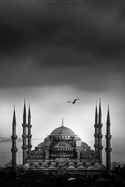 Blue mosque Istanbul Blue Mosque Istanbul, The Blue Mosque, Blue Mosque, Beautiful Mosques, Place Of Worship, White Photo, Istanbul Turkey, Oh The Places Youll Go, Places Around The World