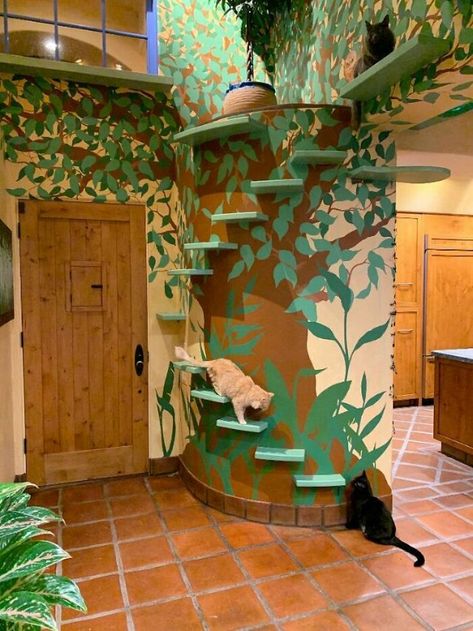 This Man Designs A Purrfect House For His 20-Plus Rescue Cats Cat Room Indoor, Cat Rooms Indoor, Indoor Cat Room Ideas, Cat Room Ideas, Cat Room Diy, Cat Rooms, Jungle Images, Cat Area, Cat Houses Indoor