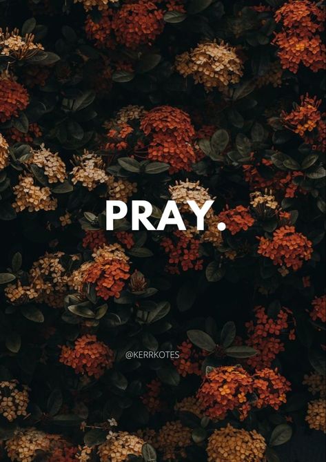 I Am Praying For You Quotes, Pray First Wallpaper, The Power Of Prayer Quotes, James 5:16, Pray Aesthetics, Praying Aesthetic, Prayer Aesthetic, Aesthetic Prayer, Pray For Others